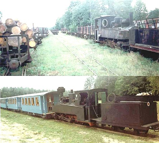 Waldbahn von Hajnówka (600 mm)