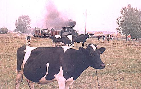Die Wirsitzer und Bromberger Kreisbahn