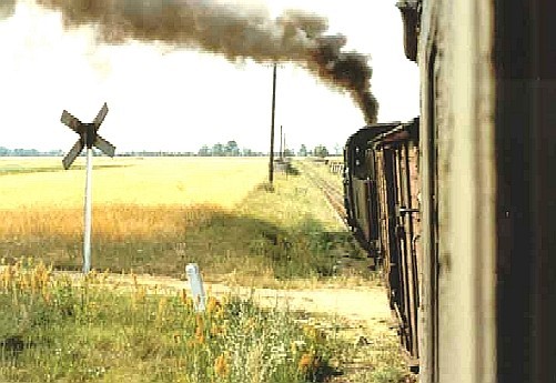 Schmalspurnetz von Krosniewice (750 mm)