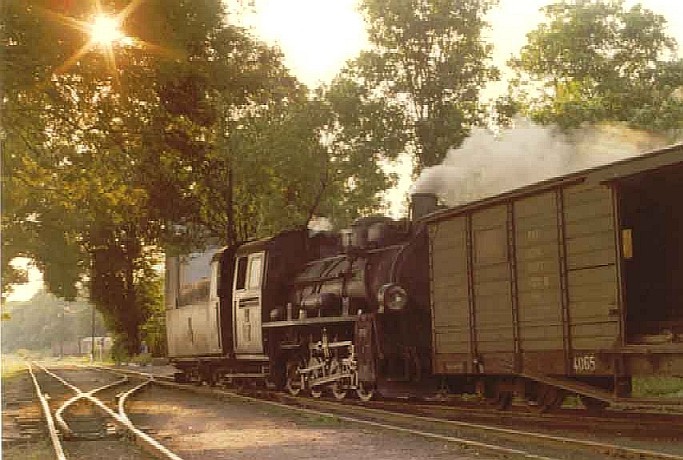 Schmalspurnetz von Krosniewice (750 mm)