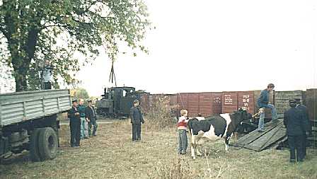Die Wirsitzer und Bromberger Kreisbahn