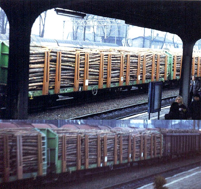4-achsiger Plattformwagen Roos (436Z)