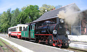 Schmigieler Kreisbahn (750 mm)