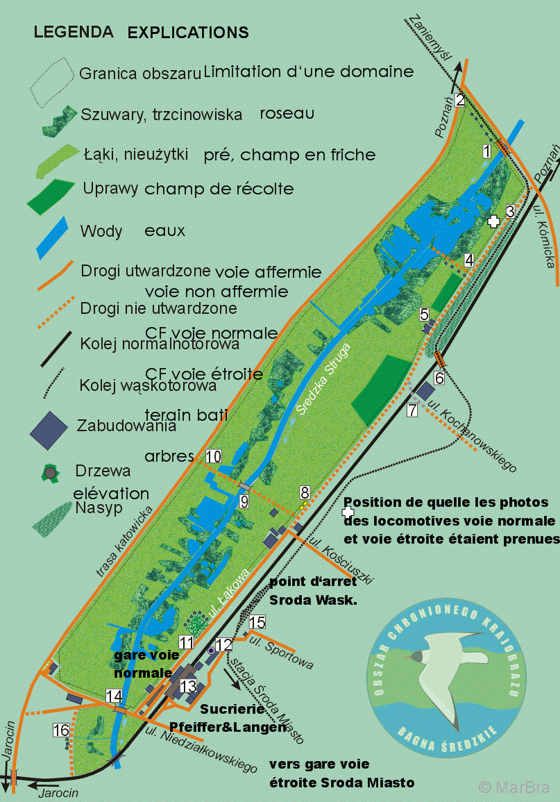 Schroda Sroda Wlkp. Chemin de Fer voie étroite Pologne