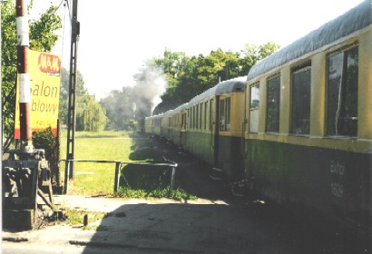 Kreisbahn von Sochaczew (750 mm)